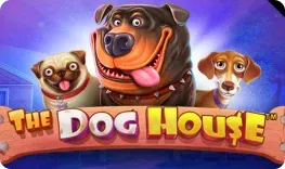 Rockwin – The Dog House